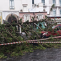 Paura ad Amalfi: vento sradica albero in piazza Flavio Gioia, nessun ferito [FOTO]