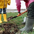 Piantare un albero a scuola per sensibilizzare studenti sui temi naturalistici, l'iniziativa della Regione Campania