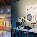 Pompei, la Casa di Cerere e il Cavallo di Maiuri ritornano al pubblico al termine dei restauri