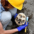 Pompei: rinvenuta la testa di un fuggiasco nel cantiere dei nuovi scavi