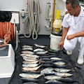 Positano: pescava illegalmente tonnetti, denunciato 49enne