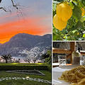 Positano. Spaghetti al limone: la ricetta dalla Costiera Amalfitana di Chef Alois