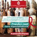 "Prendici così" la Cantina Solopaca risponde in questo modo all'alluvione