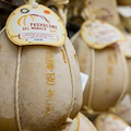 Provolone del Monaco, incremento di produzione del 35%. Superate le 100 tonnellate