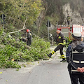 Rami in bilico a Maiori, alberi abbattuti preventivamente lungo la SS 163