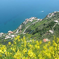 Ravello, all'asta fallimentare terreno agricolo a Civita 