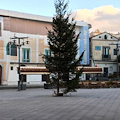 Ravello: prima collocato e poi rimosso, fa discutere l’albero di Natale in piazza /FOTO