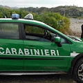 Regione Campania: convenzione per l’impiego dei Carabinieri Forestali