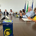 Regione Campania: richiesta deroga divieto di bruciatura per contrastare mal secco dei limoni