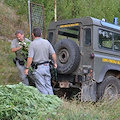 Riforme: Forestali diventeranno Carabinieri