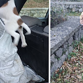 Rinchiuse in un sacco e abbandonate sulla strada tra Tramonti e Ravello: tre cagnoline cercano un padrone