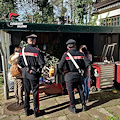 Rubano attrezzature da un'azienda del salernitano, inseguiti dai Carabinieri abbandonano furgone in strada: si cercano i ladri