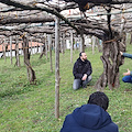 Sabato 12 febbraio Tramonti in TV a “Mezzogiorno Italia” con un excursus tra natura, cultura ed enogastronomia