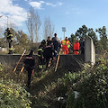 Salerno: giallo in Via Allende, cadavere di donna trovato in un cantiere [VIDEO]