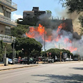 Salerno, in fiamme collina del Forte la Carnale 