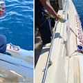 Santa Maria di Castellabate, sequestrati attrezzi da pesca irregolari in area marina protetta