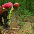 Scala, completato l'avviamento a selezione per un operaio agrario e forestale per Valle delle Ferriere.