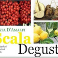 Scala Degusta: 19- 21 agosto il meglio del food campano tra saperi e sapori