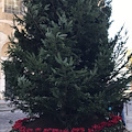 Scala, stasera i bambini accendono l'albero di Natale in piazza