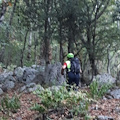 Scala, va a funghi e si perde a Santa Maria dei Monti. Soccorso da Carabinieri e volontari Millenium e CNSAS [FOTO]