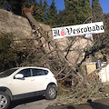 Scala: vento forte sradica abete al Cimitero, danneggiate tombe e un'auto