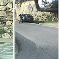 Scappa dal porcile, maialino in fuga sulla Statale Amalfitana /foto