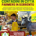 Sorrento, dal 25 al 28 aprile Campagna Amica con street food, fattoria degli animali e agriasilo