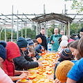 Sorrento: torna lo "Spremuta Day" con l'arancia bionda sorrentina 