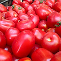 Tramonti, giovedì 23 un incontro per la coltivazione e la preservazione del pomodoro Re Umberto