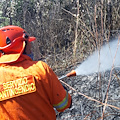 Tramonti, il “solito” incendio in zona cimitero annuncia la stagione dei roghi [FOTO]