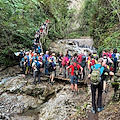 Valle delle Ferriere: inizia l'orario invernale per la Riserva Naturale Orientata della Costiera Amalfitana