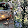 Vento forte a Positano, danni ad auto in sosta. Pulizia urgente a Montepertuso /foto