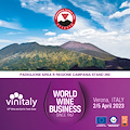 Vesuvio e vino, al Vinitaly una storia d'amore lunga tremila anni