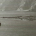 Vietri sul Mare ricorda il tragico alluvione del 1954 con un incontro in aula consiliare 