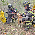 Vigili del Fuoco ritrovano i cani dispersi da ieri nel salernitano: Argo e Yuma tornano a casa