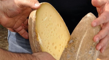 15 anni di DOP per il "Provolone del Monaco", il gioiello di Agerola 