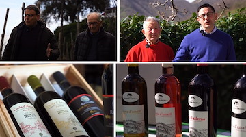 Al Vinitaly in corso a Verona i vini DOC Costa d’Amalfi sottozona Ravello e Tramonti /VIDEO