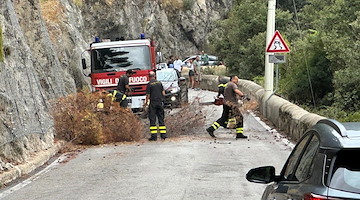 Caduta di rami sulla Statale Amalfitana a Maiori: prontamente rimosso il pericolo