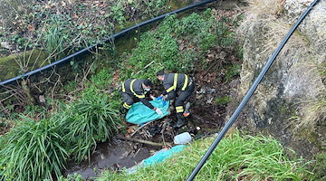 Cane trovato morto a Ravello: recuperato da Vigili del Fuoco di Maiori e Servizio Veterinario ASL 