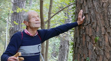 Centro anziani di Maiori: oggi incontro sull'importanza dell'attività fisica nella terza età