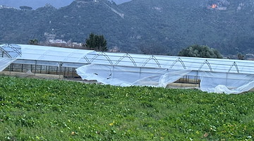 Coldiretti Salerno: danni nell'Agro-Nocerino, negli Alburni e nel Vallo di Diano a causa del maltempo