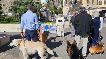 Giornata dedicata agli animali a Maiori: benedizione e microchip per i cani