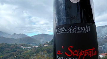 Il vino Costa d’Amalfi "A’ Scippata" delle Cantine Apicella premiato con la Gemma nella Guida Vitae 2025