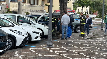 Maiori, serpente cade su un'auto in transito e si infila nel vano motore: intervengono i Vigili del Fuoco