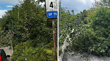 Maltempo, albero cade e blocca la SP 75 tra Vietri sul Mare a Cava de’ Tirreni: nessun ferito