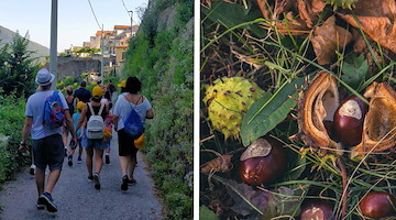 “Passeggiando tra i borghi”, 27 ottobre escursione autunnale con la Pro Loco Tramonti