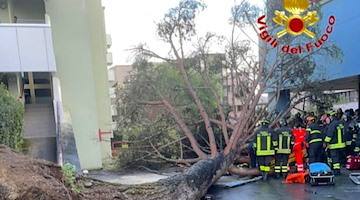 Salerno, dimesso dal 'Ruggi' l'ultimo studente ferito dalla caduta di un albero all'Università 