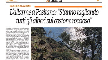 Taglio degli alberi in una zona protetta, le perplessità dei positanesi in un articolo su "L'Ora"