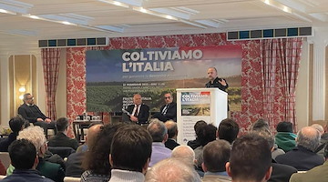 Zes agricola unica, Iannone (FdI): «Con governo Meloni Mezzogiorno avrà futuro»