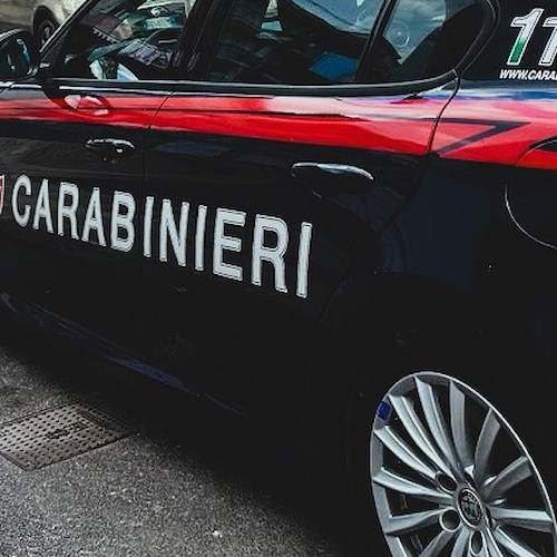 Carabinieri<br />&copy; Massimiliano D'Uva